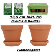 Terrakotta blomkrukor 
