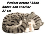 Katt Grå Petzzz 