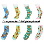 Crazy socks Kapybara