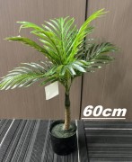 Konstväxt Arecapalm