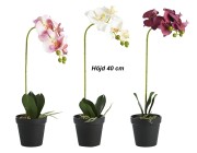 Konstväxt Orkidé 40cm